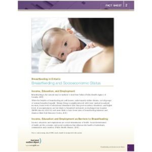 Couverture de la fiche "Breastfeeding in Ontario, Fact Sheet #5: Socio-economic status"
