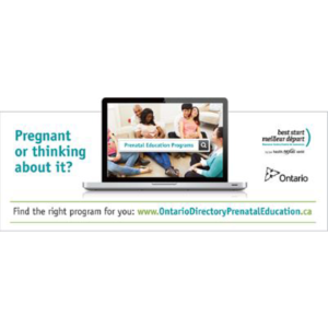 Snapshot of the Prenatal Education Directory promotional web banner