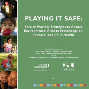 Cover of the Playing It Safe book