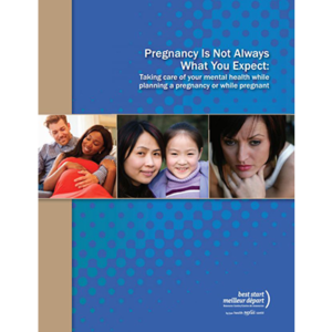 Cover of the "Pregnancy is not always" booklet