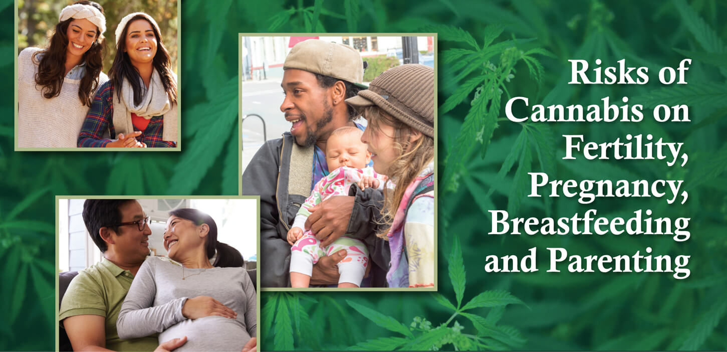 Risks of Cannabis on Fertility, Pregnancy, Breastfeeding and Parenting