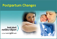 10 - Postpartum Changes