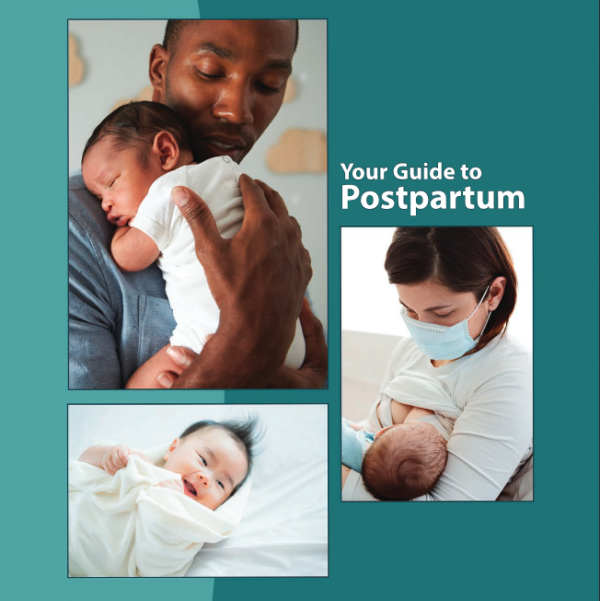 Your Guide to Postpartum - Best Start